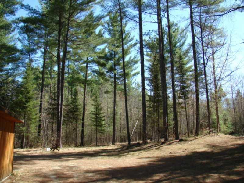47 Fahi Pond Road North Anson, ME 04958 - Photo 4 of 15 Yard/Garden.