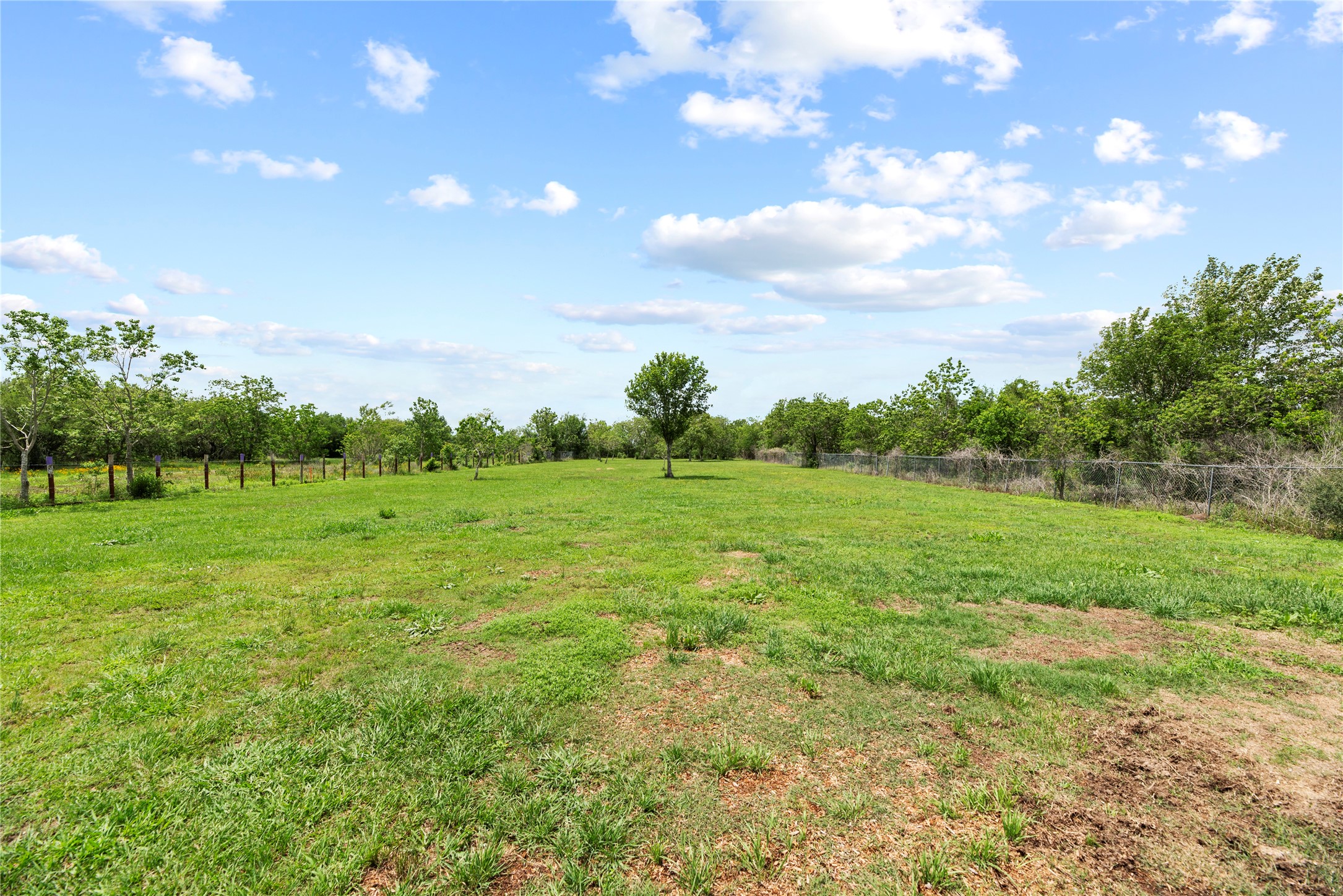 523 Moore Bar Road Rosenberg, TX 77471 - Photo 13 of 50 The backyard/pasture area.