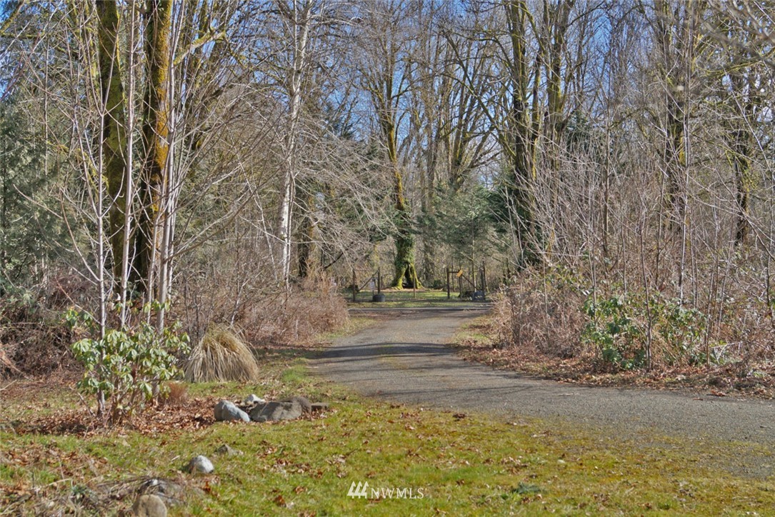 581 West Maple Rock Road Matlock, WA 98560 - Photo 3 of 23 Gallery Image 3