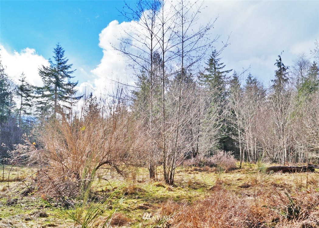 581 West Maple Rock Road Matlock, WA 98560 - Photo 21 of 23 Gallery Image 21