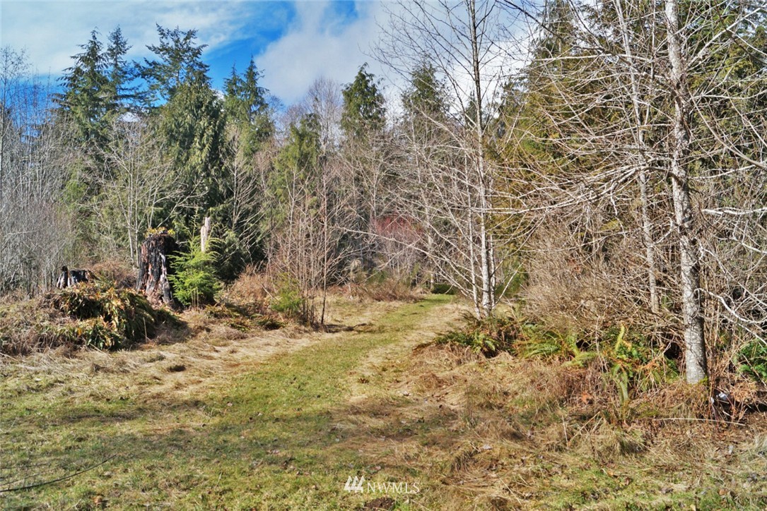 581 West Maple Rock Road Matlock, WA 98560 - Photo 22 of 23 Gallery Image 22