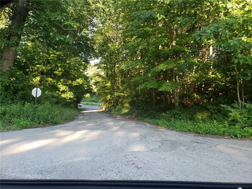 Lot #4 Deshon Road New Castle, PA 16101 - Photo 2 of 7 a view of a yard with plants and trees