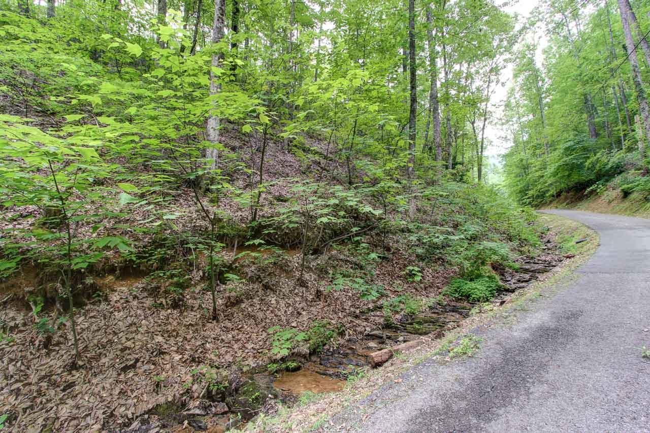 35 Caney Creek Road Pigeon Forge, TN 37863 - Photo 7 of 9 Gallery Image 7
