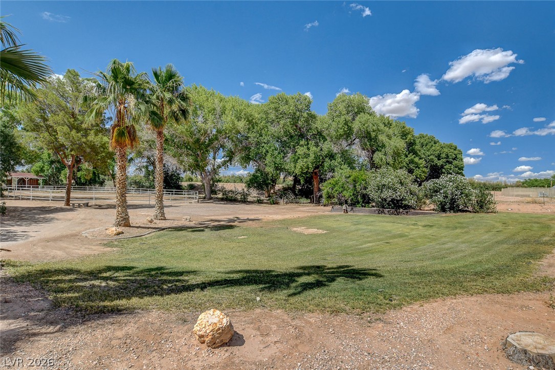 1950 Bowman Road Logandale, NV 89021 - Photo 27 of 98 A verdant lawn creates a tranquil oasis amidst a sprawling, tree-lined landscape.