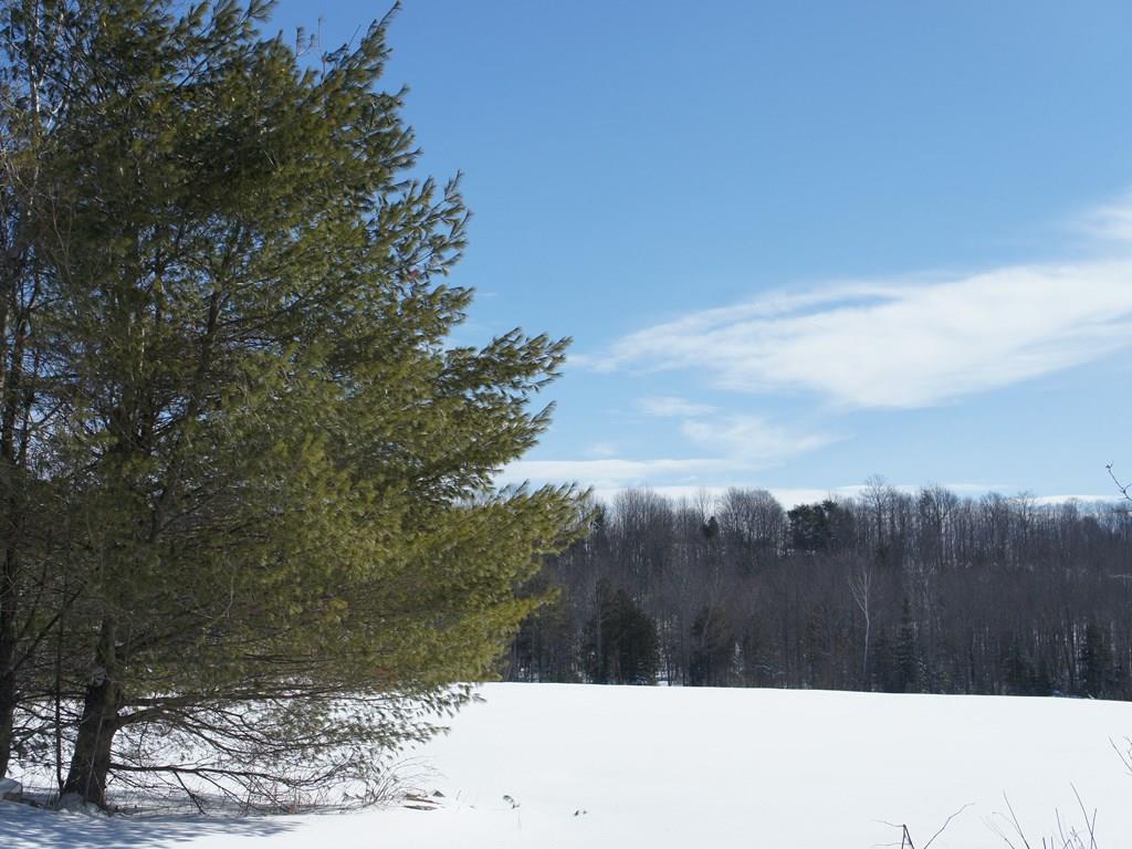 0 Waning Road Unity, ME 04988 - Photo 7 of 10 Photo