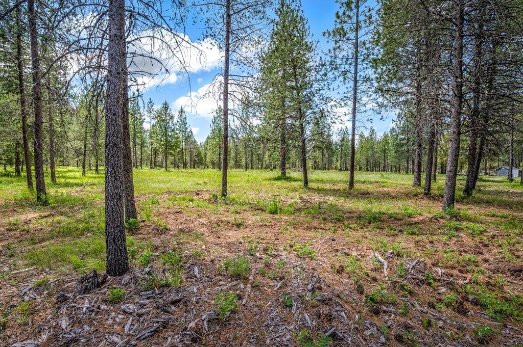 Nka West Findley Road, Unit LOT G Deer Park, WA 99006 - Photo 11 of 32