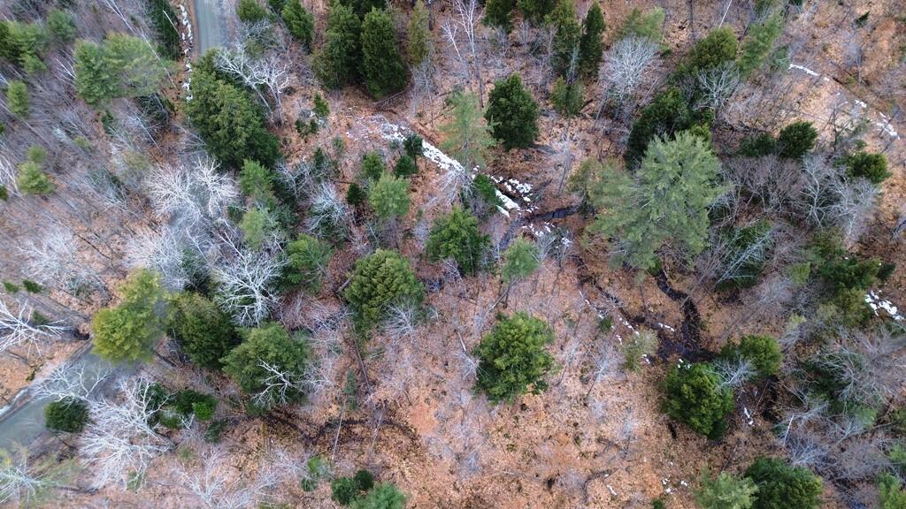 Lot 6 Peterson Road Dover-Foxcroft, ME 04426 - Photo 13 of 21 DJI_0025