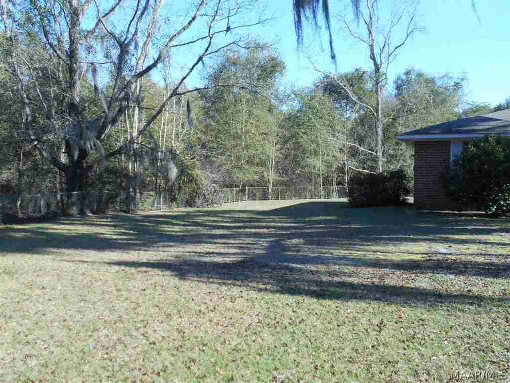 left front yard