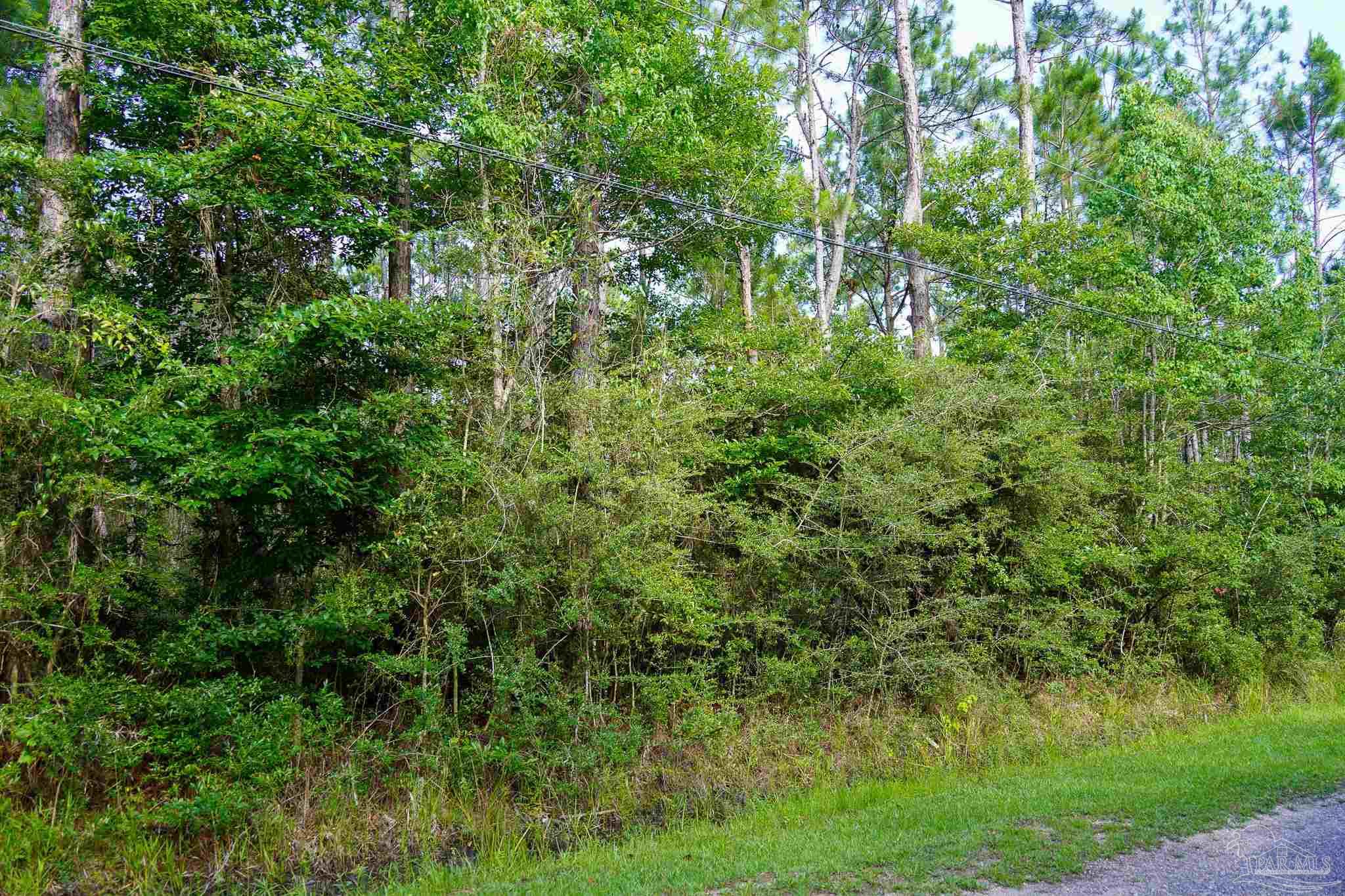 968 Clearview Street Milton, FL 32583 - Photo 4 of 8