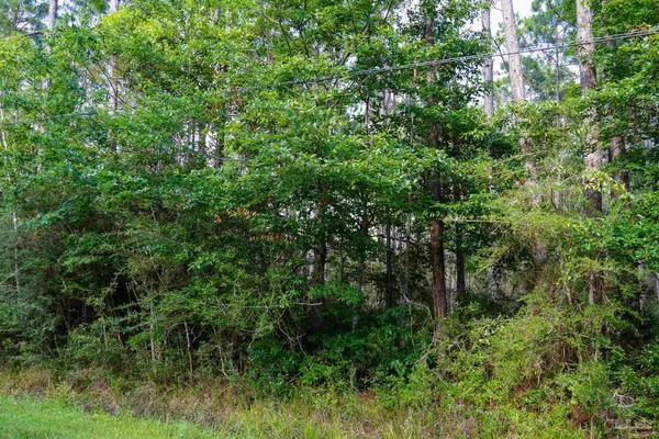 $69,400 | 968 Clearview Street, Milton, FL 32583