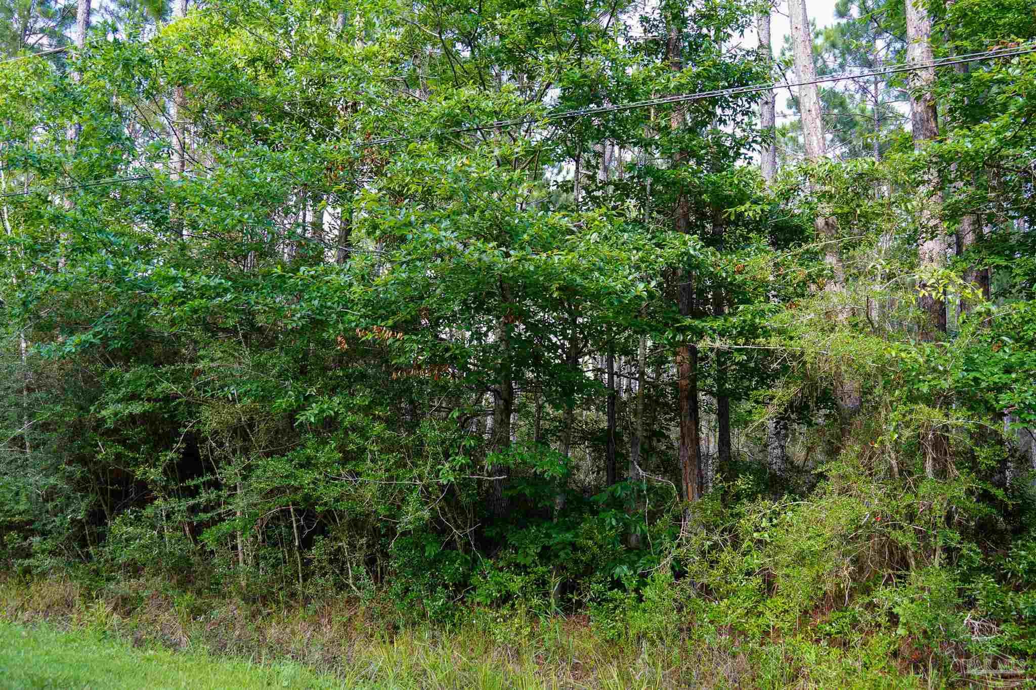 968 Clearview Street Milton, FL 32583 - Photo 7 of 8