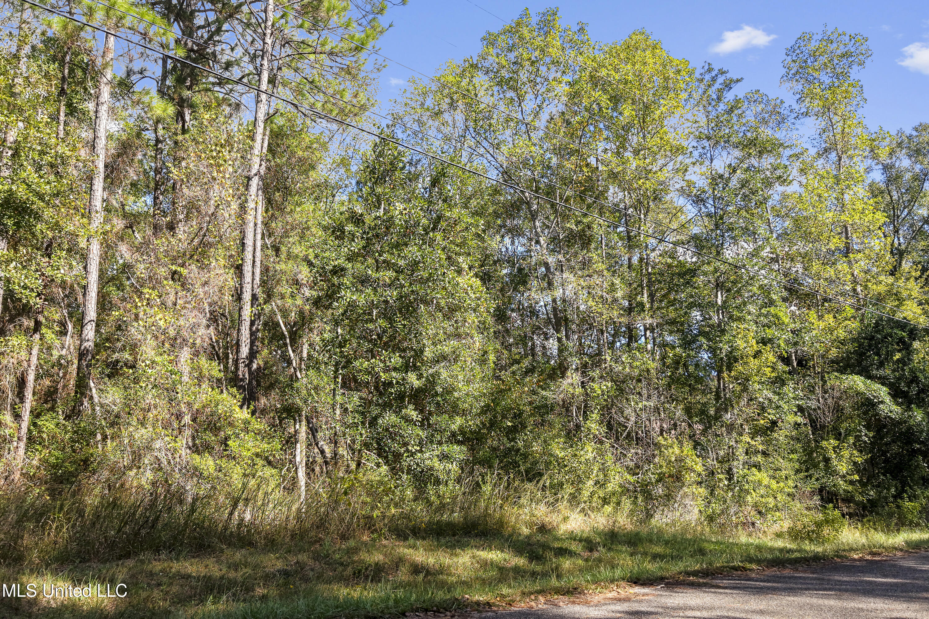 Hillside Road Biloxi, MS 39532 - Photo 4 of 8 0006 (1)