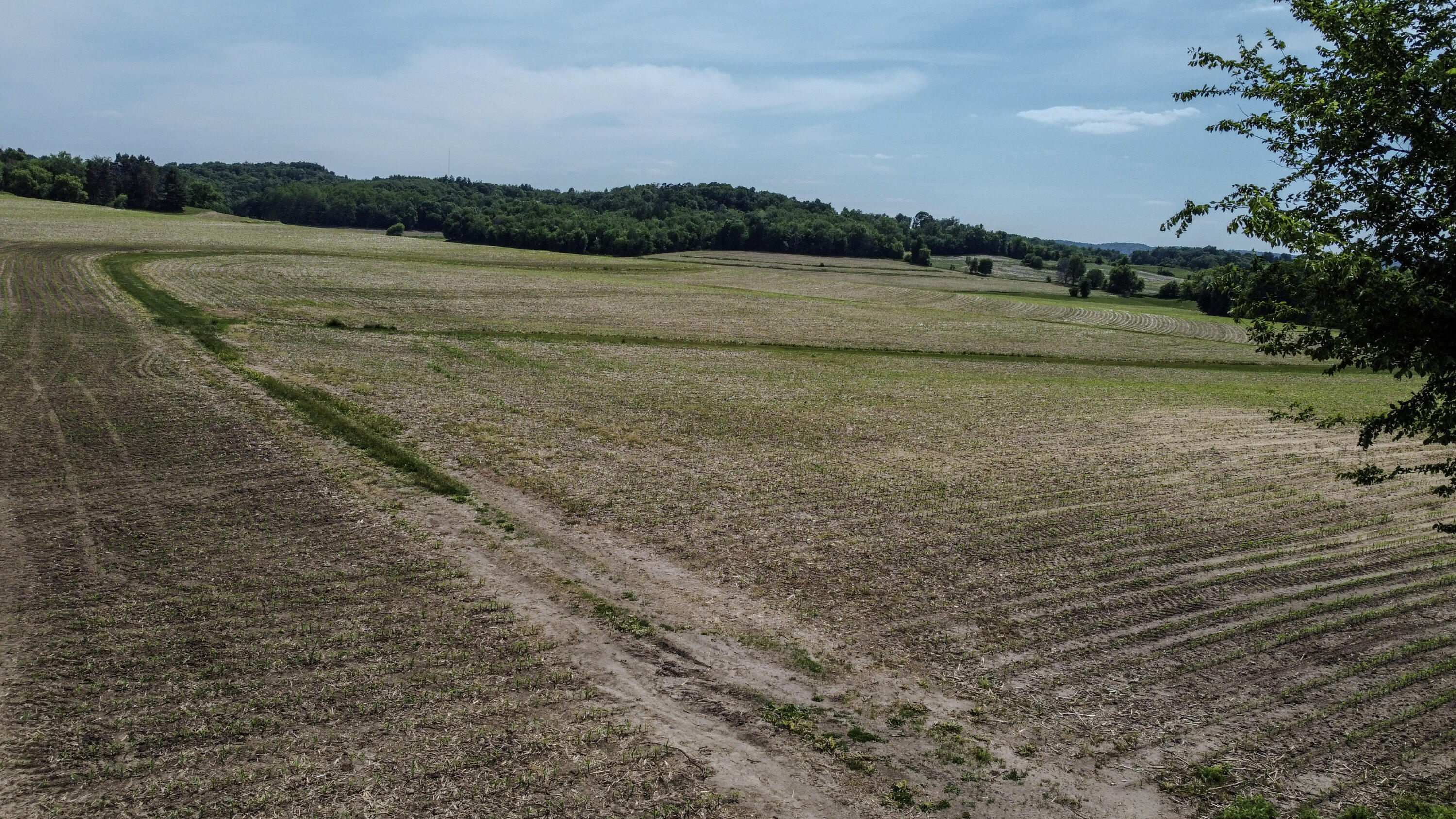 0 Dopp Road Galesville, WI 54630 - Photo 20 of 65 60-DJI_0660