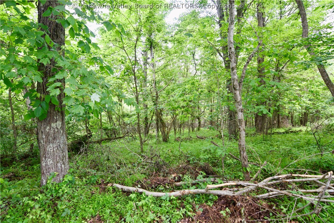 0 Silverton Road Ravenswood, WV 26164 - Photo 5 of 7 Gallery Image 5