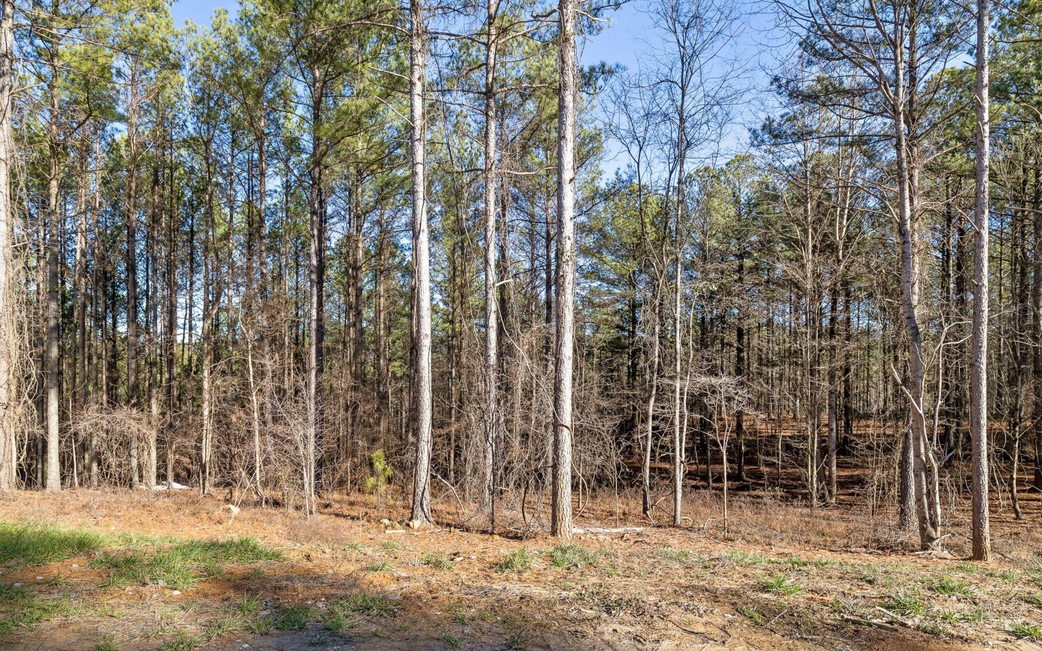 1125 Split Rail Way Guild, TN 37340 - Photo 10 of 26 Gallery Image 10