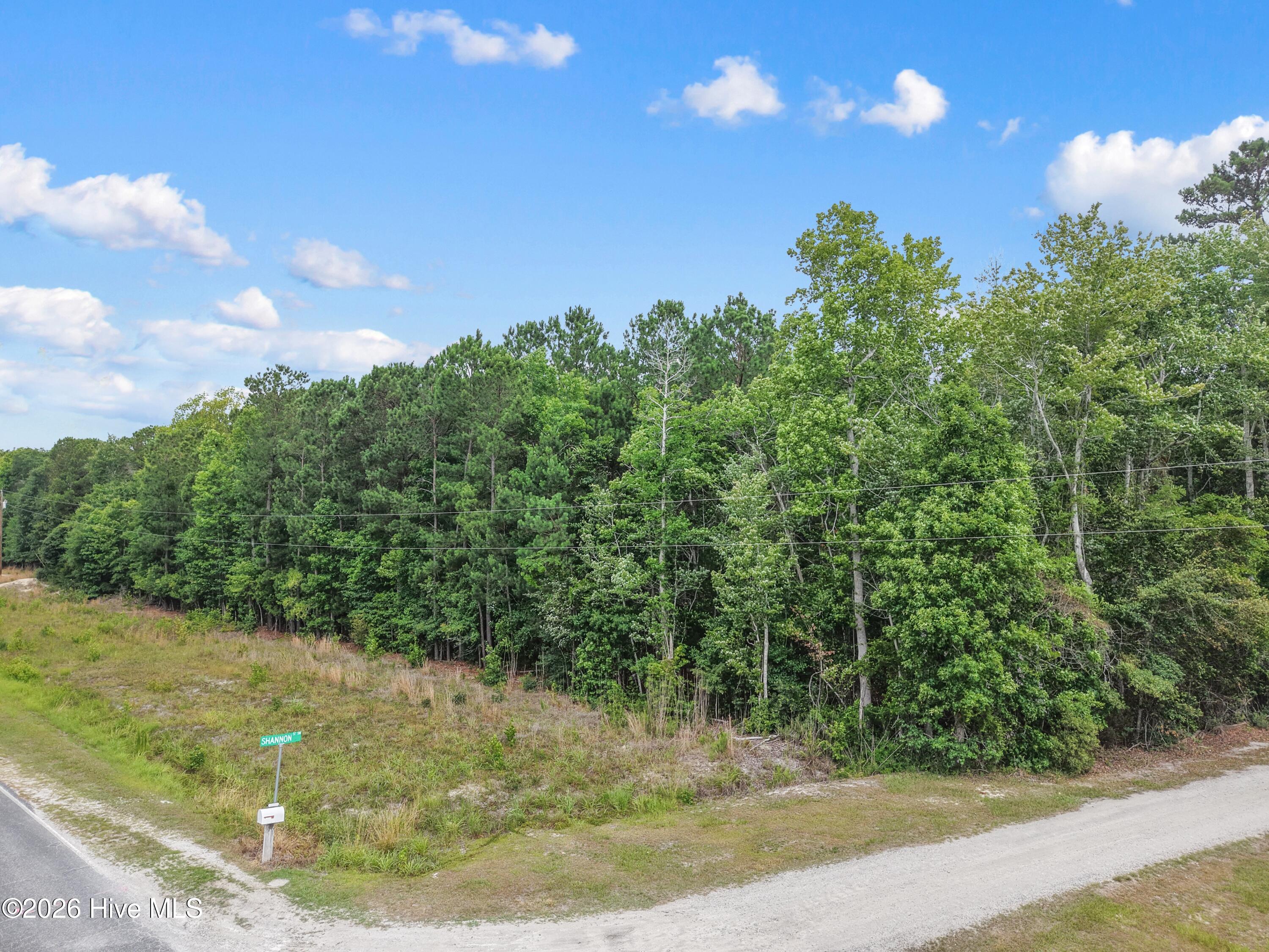 0 Todd Road Southwest Shallotte, NC 28470 - Photo 2 of 22