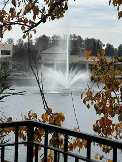 a living room with furniture and large windows