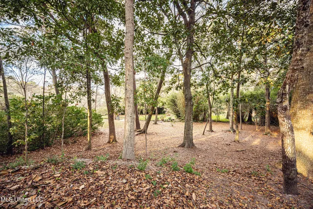 $999,997 | 703 Mosley Street, Ocean Springs, MS 39564