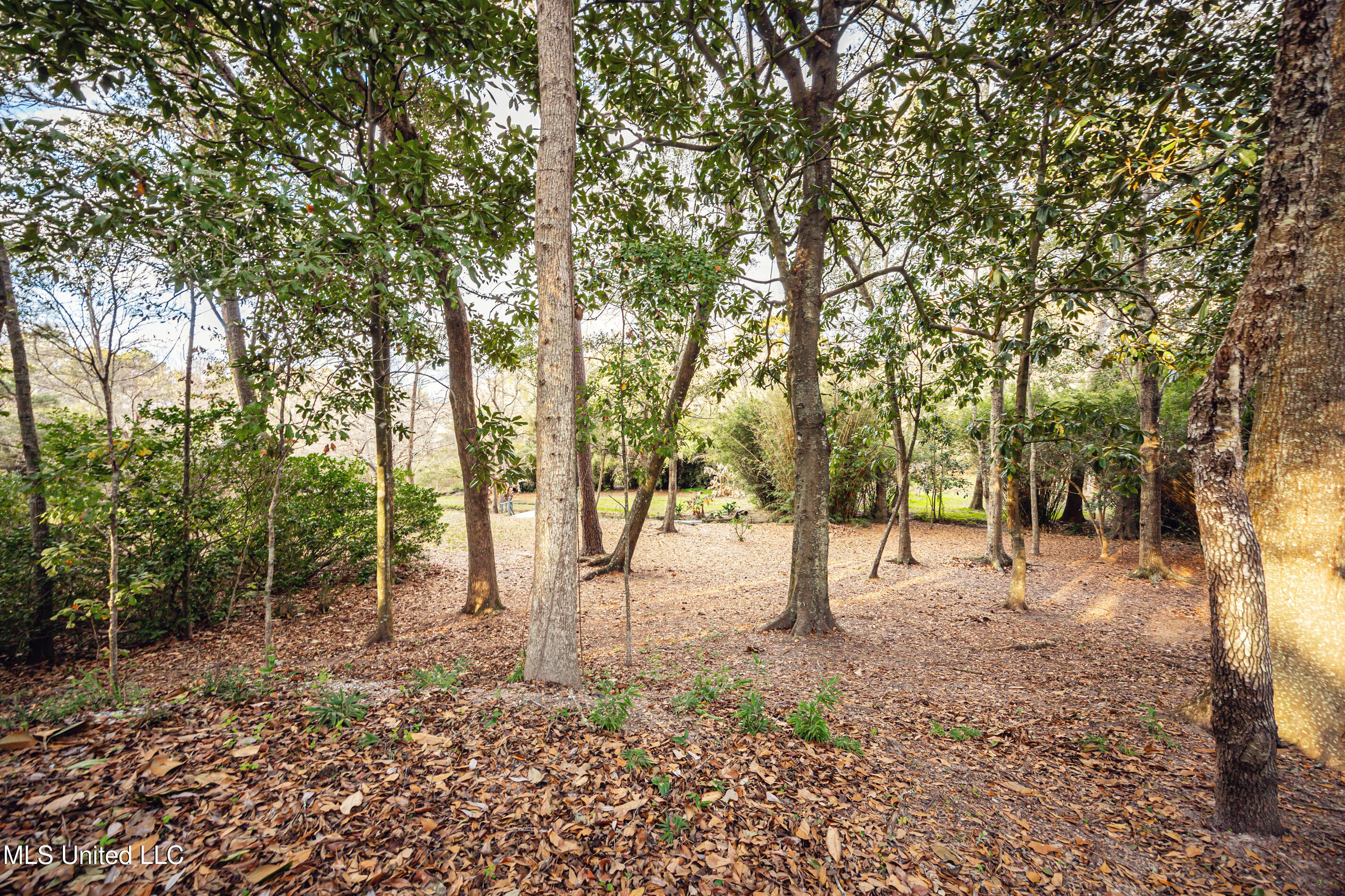 703 Mosley Street Ocean Springs, MS 39564 - Photo 72 of 82 IMG_0648