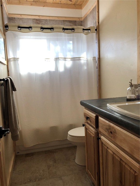 463 Wild Rye Road Fairplay, CO 80440 - Photo 15 of 17 Gallery Image 15