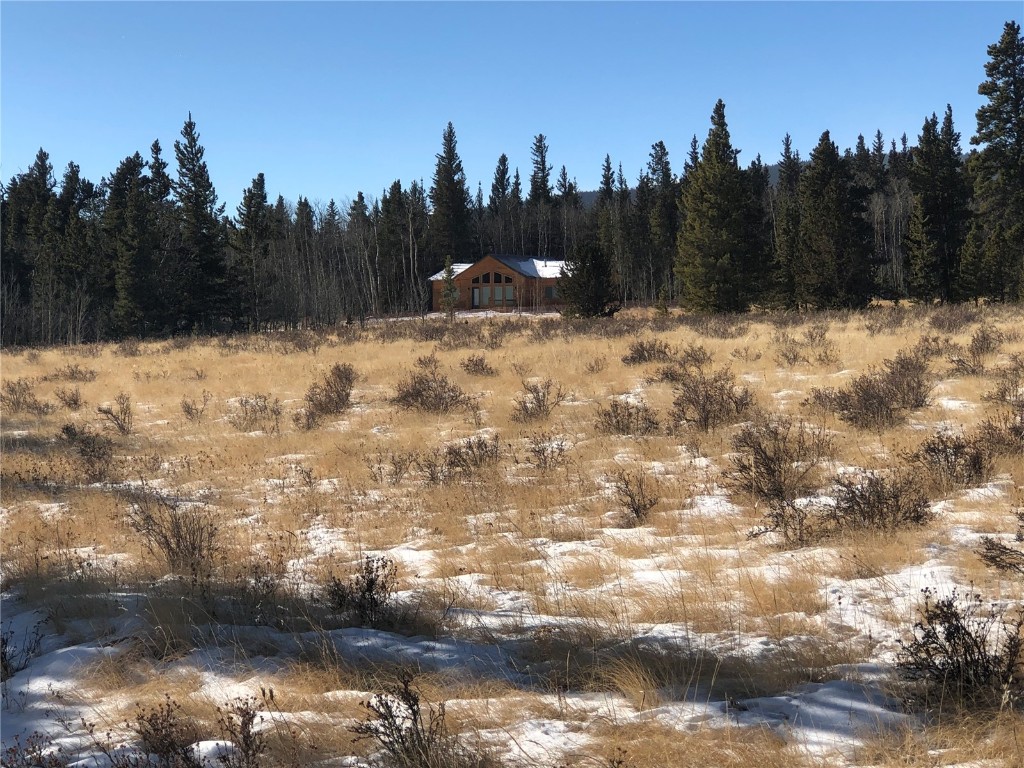 463 Wild Rye Road Fairplay, CO 80440 - Photo 17 of 17 Gallery Image 17