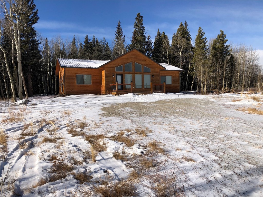 463 Wild Rye Road Fairplay, CO 80440 - Photo 3 of 17 Gallery Image 3