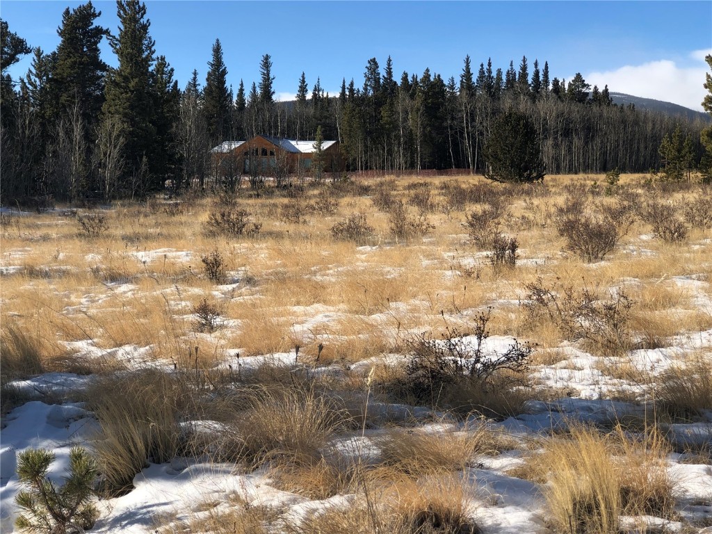 463 Wild Rye Road Fairplay, CO 80440 - Photo 4 of 17 Gallery Image 4