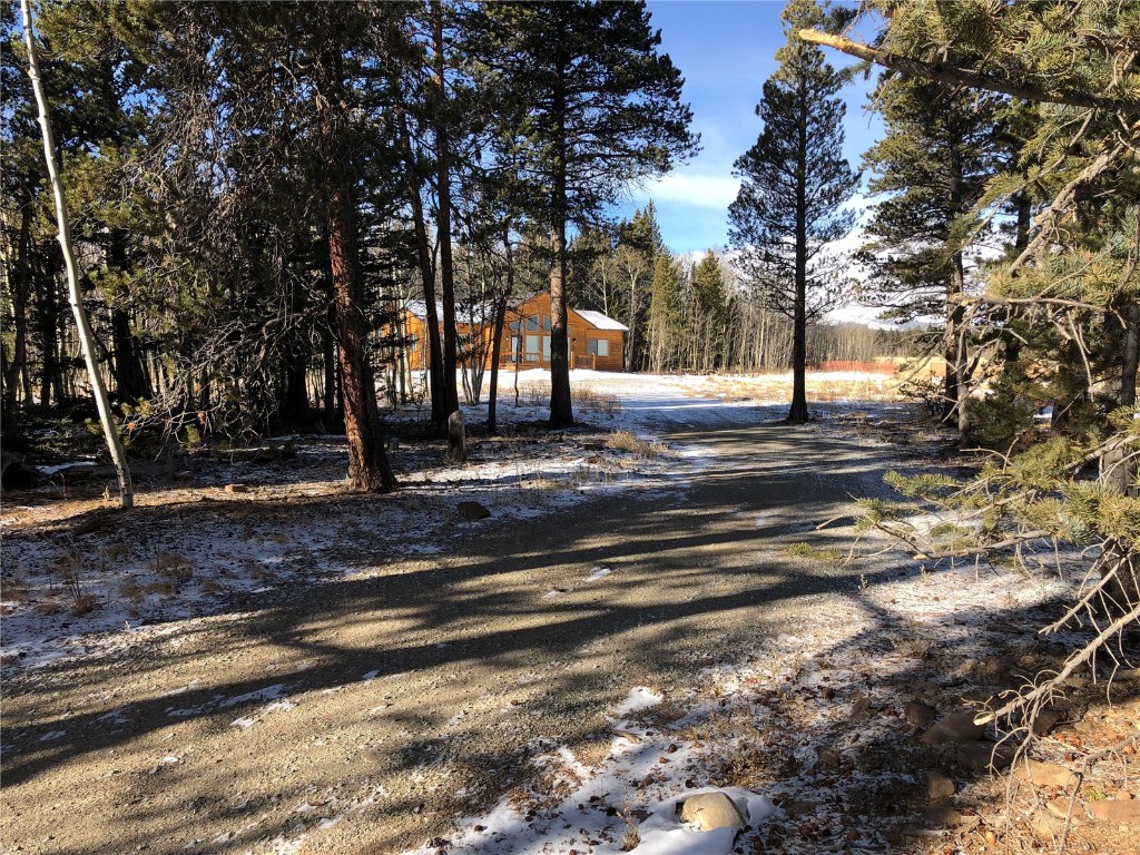 463 Wild Rye Road Fairplay, CO 80440 - Photo 5 of 17 Gallery Image 5