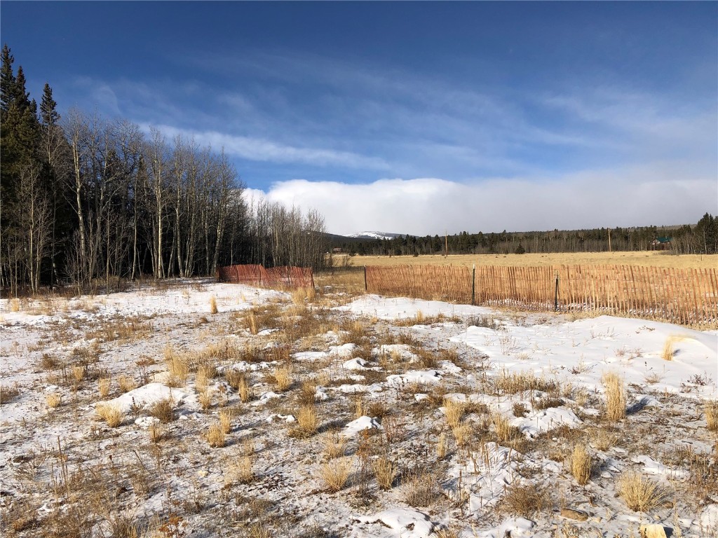 463 Wild Rye Road Fairplay, CO 80440 - Photo 6 of 17 Gallery Image 6