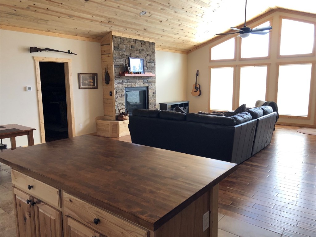 463 Wild Rye Road Fairplay, CO 80440 - Photo 8 of 17 Gallery Image 8