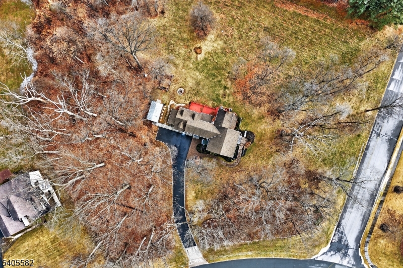 101 Parker Road Bloomsbury, NJ 08804 - Photo 5 of 29 view of a wooden floor with a tree