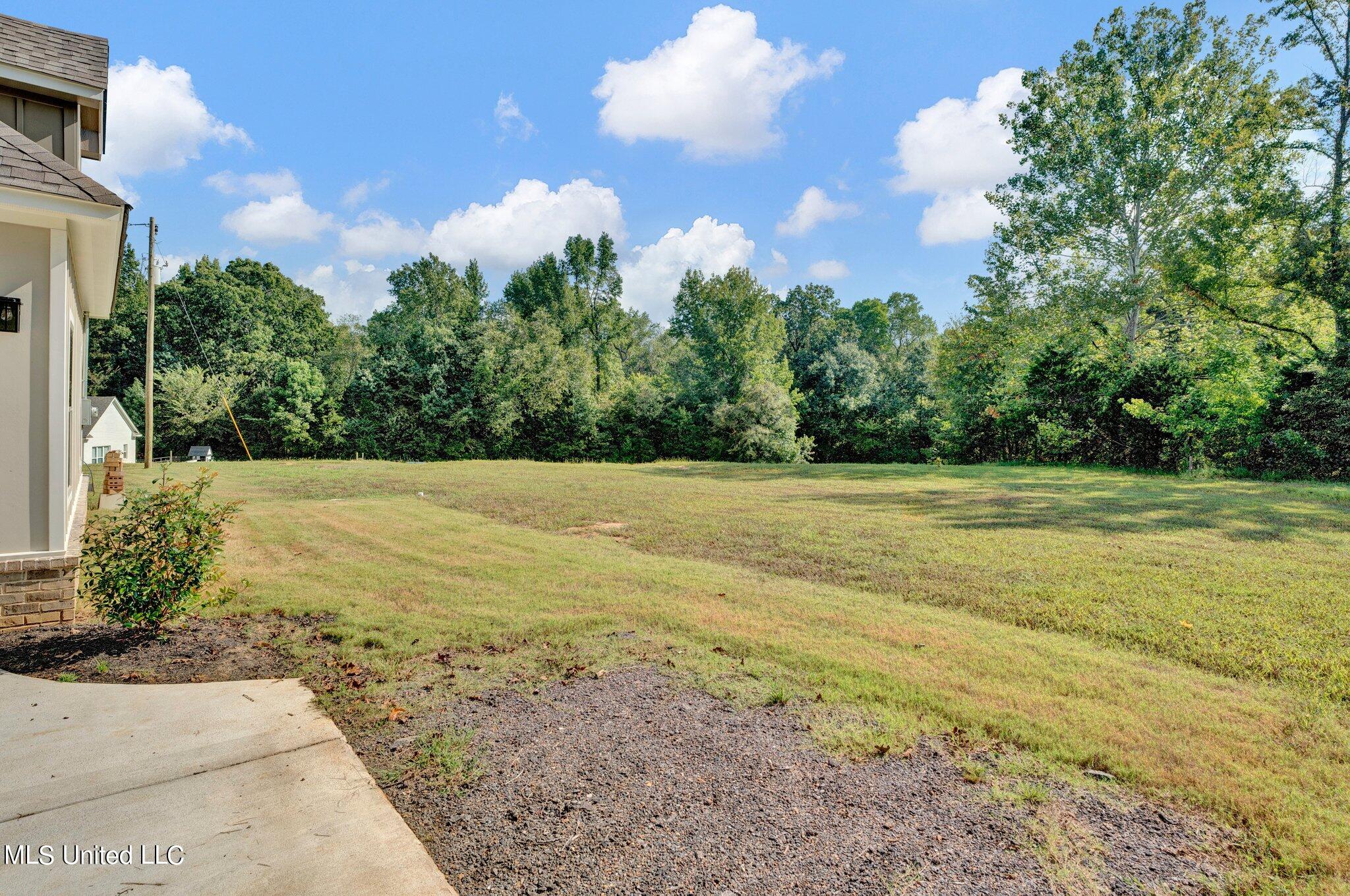 111 Jessica Cove Holly Springs, MS 38635 - Photo 8 of 43 39-web-or-mls-EC202899