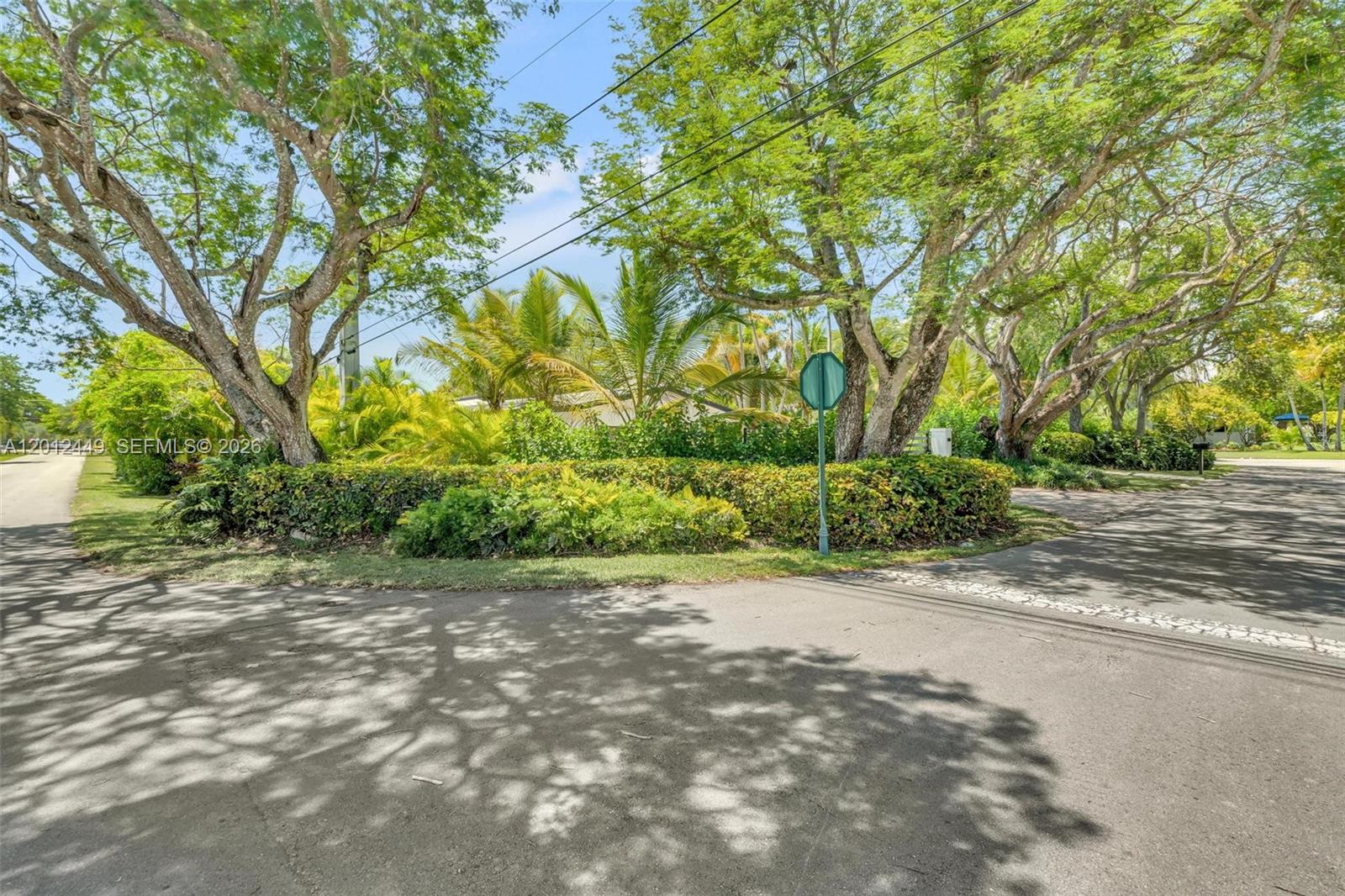 6200 Southwest 118th Street Pinecrest, FL 33156 - Photo 2 of 69 a view of a plants with large trees