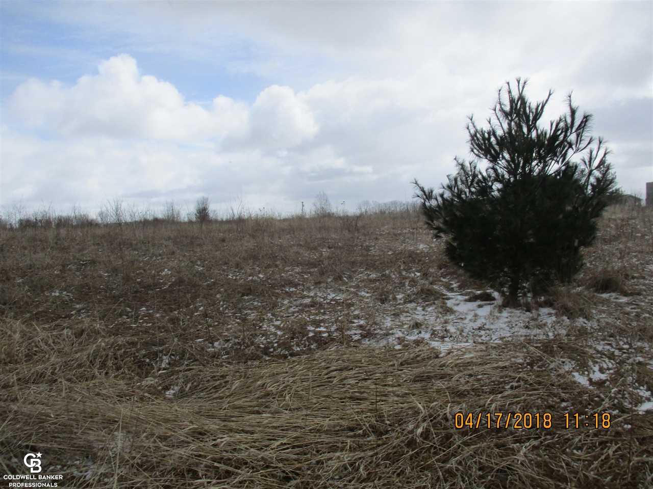 0 Arendt Road Yale, MI 48097 - Photo 9 of 11