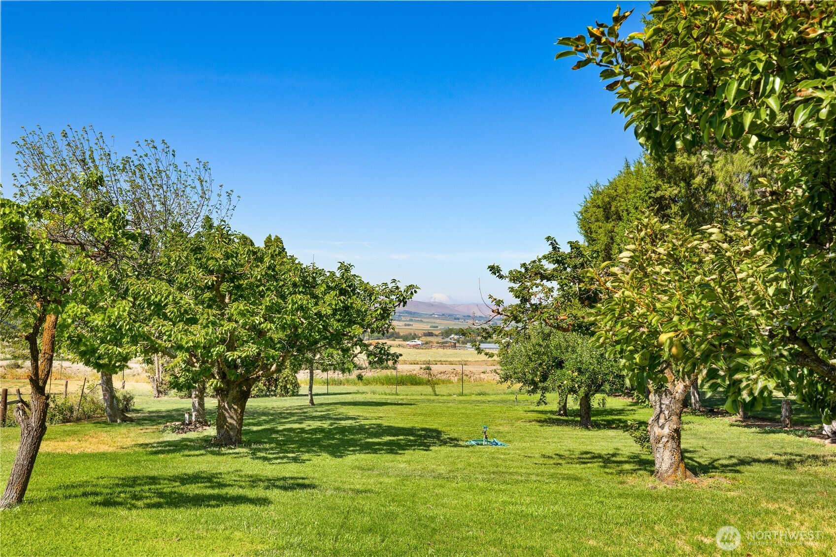 181 Ross Road Ellensburg, WA 98926 - Photo 37 of 40 Gallery Image 37