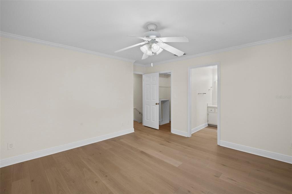 4913 Andros Drive Tampa, FL 33629 - Photo 44 of 57