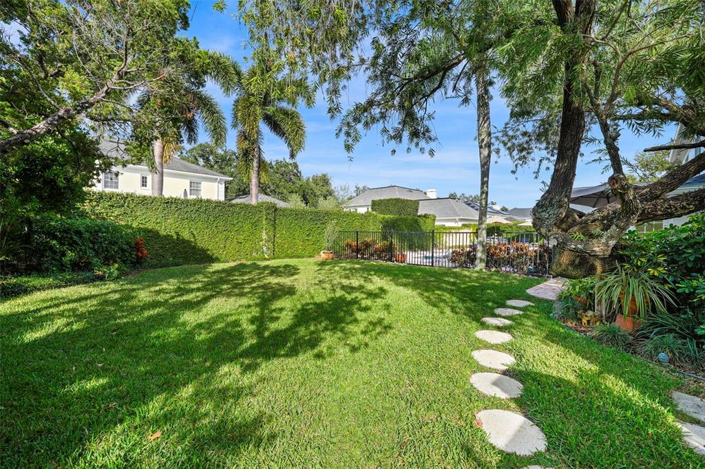 4913 Andros Drive Tampa, FL 33629 - Photo 52 of 57 a view of a garden with a tree