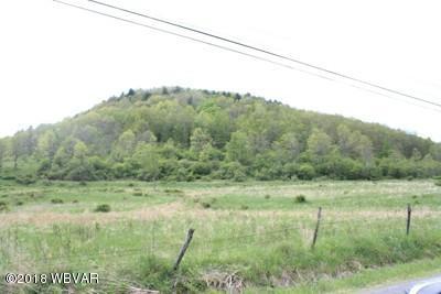 0 North Fork Road Westfield, PA 16950 - Photo 2 of 2 30317-02