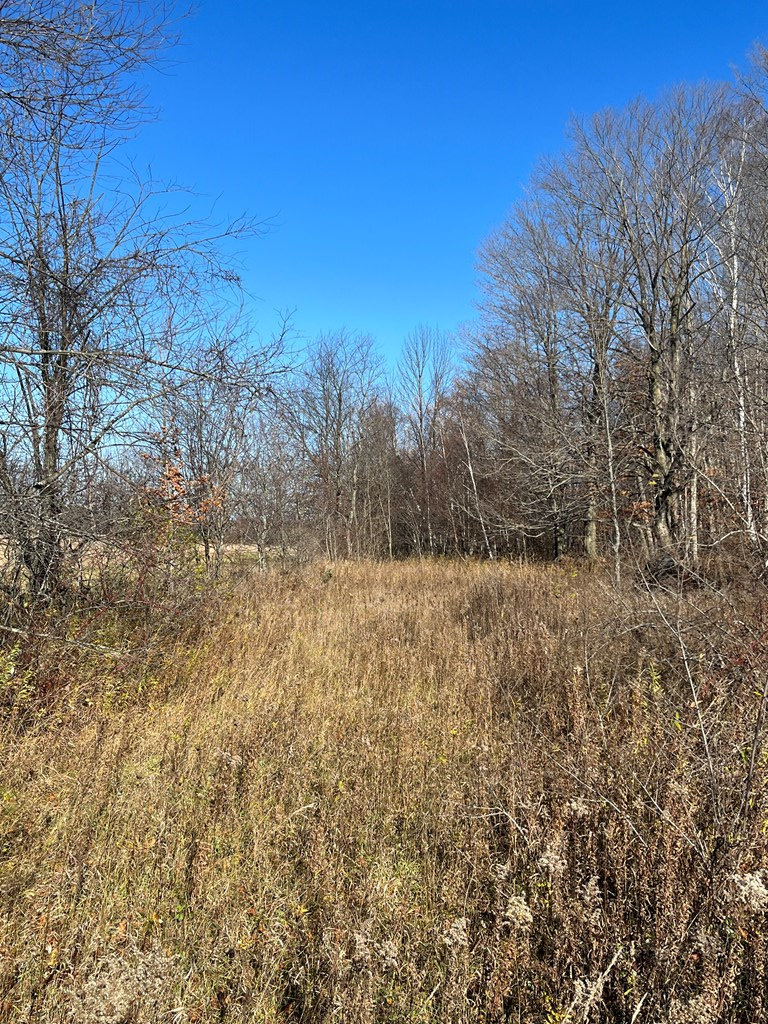South Highland Road Fish Creek, WI 54212 - Photo 4 of 10