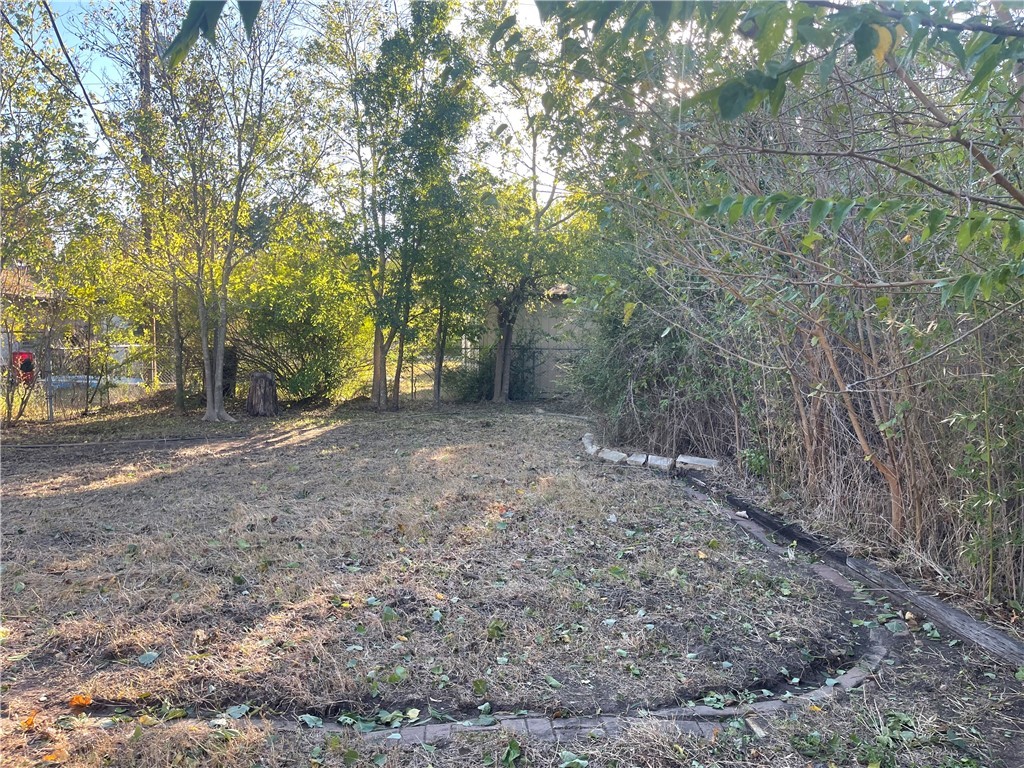 4102 Aspen Street Bryan, TX 77801 - Photo 3 of 19 a view of a forest with trees in the background