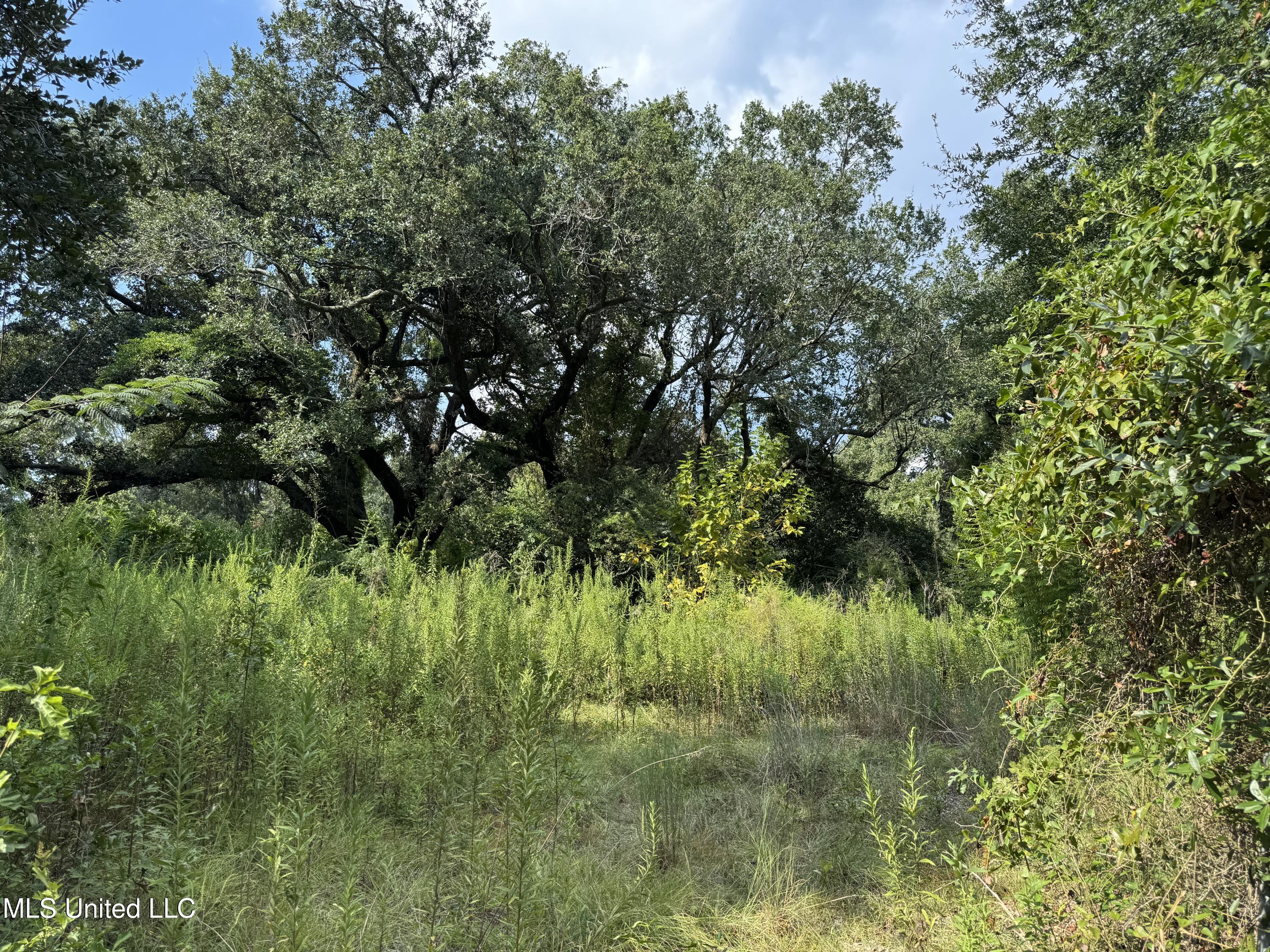 5010 15th Street Gulfport, MS 39501 - Photo 2 of 4 Lot View