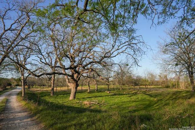 a view of field with trees