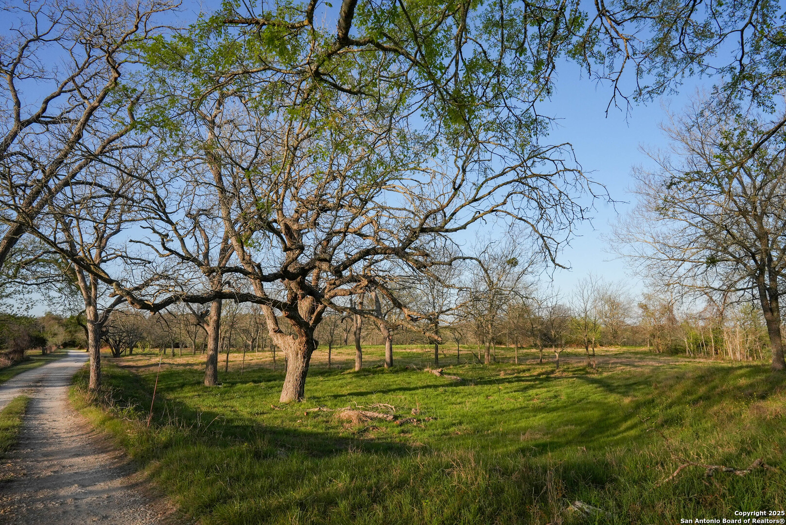 Tbd Lost Acres Loop Blanco, TX 78606 - Photo 14 of 39 a view of field with trees