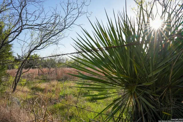 a backyard of a house