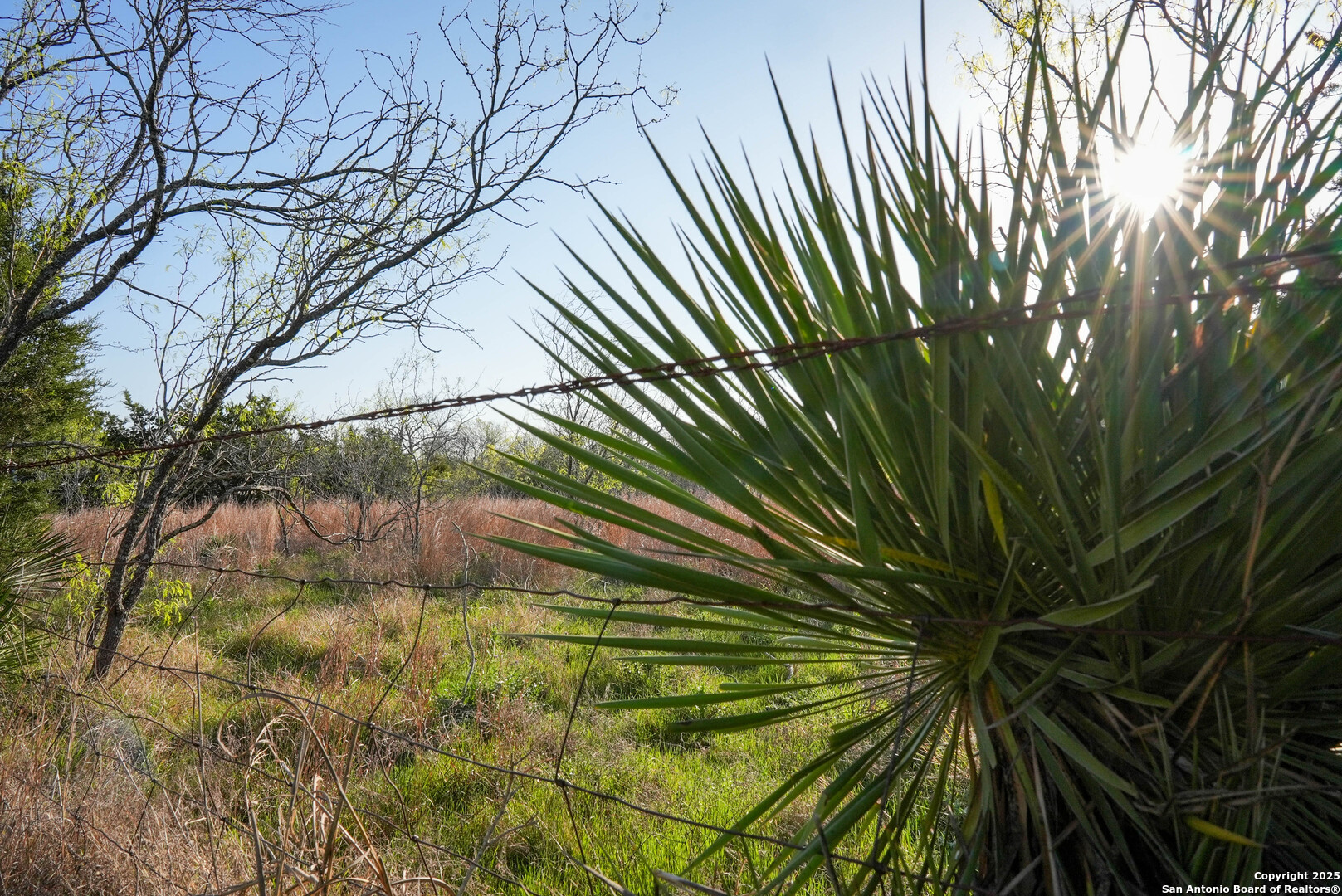 Tbd Lost Acres Loop Blanco, TX 78606 - Photo 15 of 39 a backyard of a house