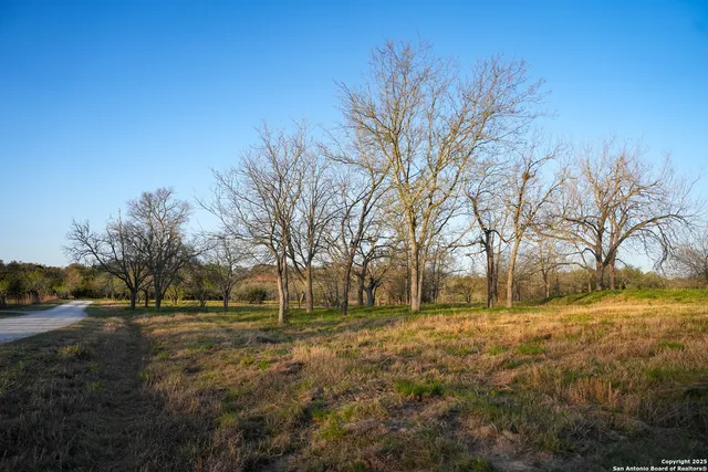 a view of open space with yard