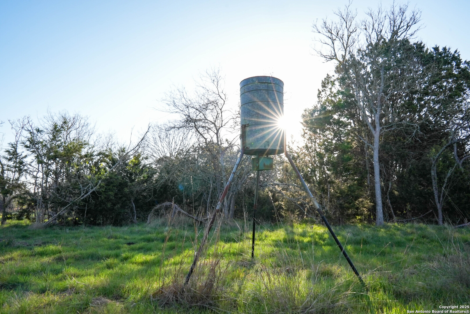 Tbd Lost Acres Loop Blanco, TX 78606 - Photo 22 of 39 a swimming pool with trees in the background