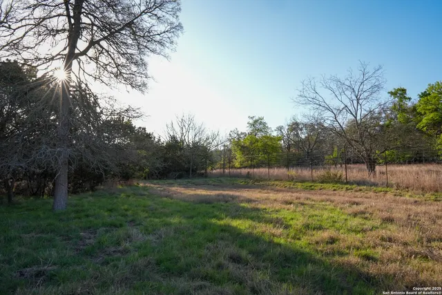 a view of outdoor space with trees all around
