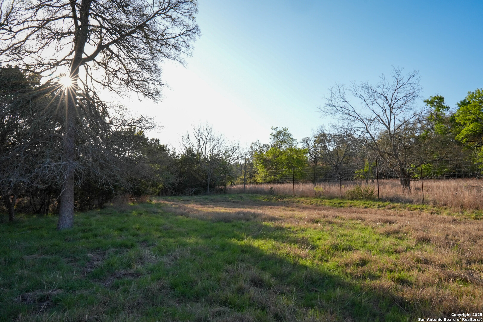 Tbd Lost Acres Loop Blanco, TX 78606 - Photo 23 of 39 a view of outdoor space with trees all around