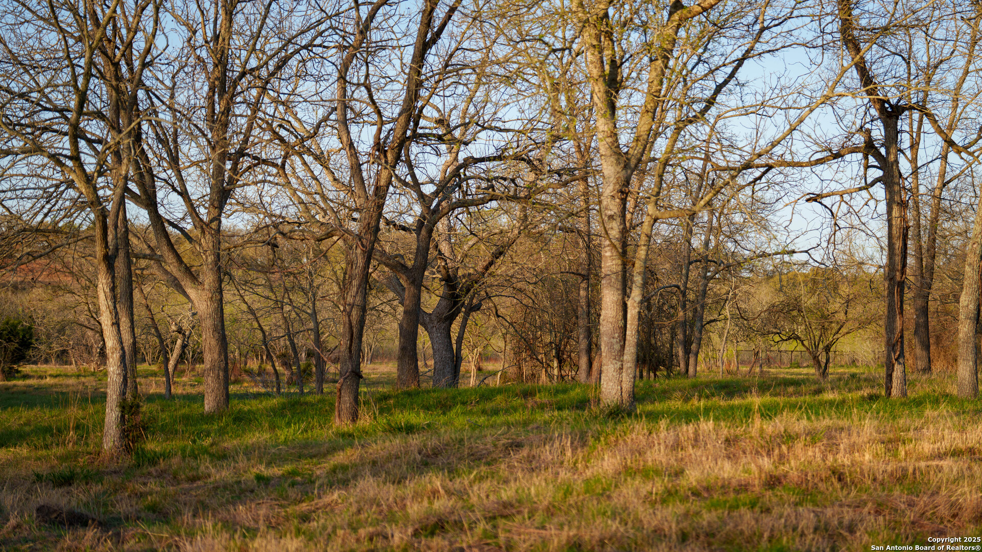 Tbd Lost Acres Loop Blanco, TX 78606 - Photo 24 of 39 a view of backyard with green space